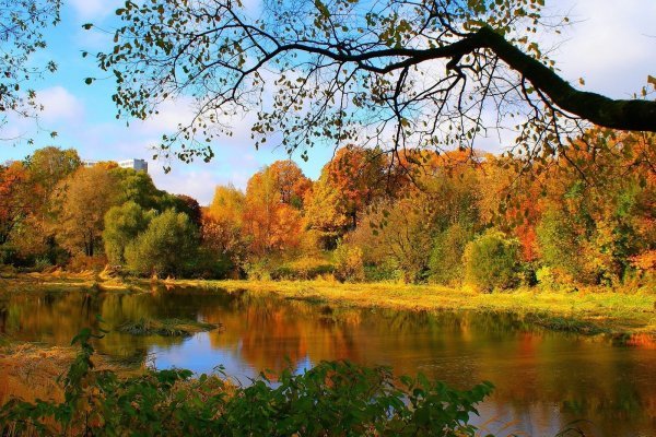 Кракен невозможно зарегистрировать пользователя