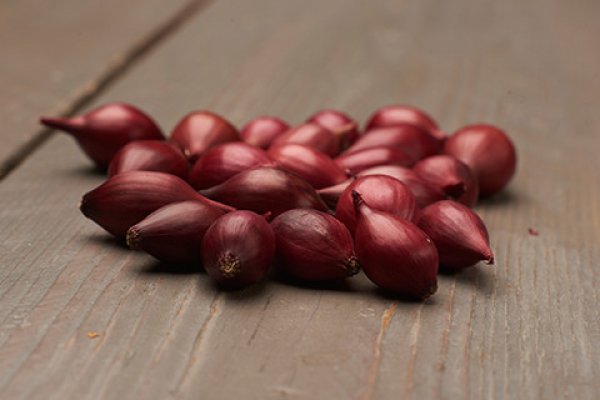 Кракен невозможно зарегистрировать пользователя