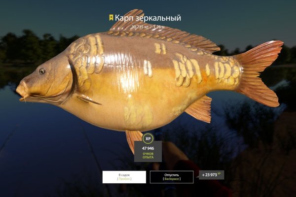 Реальные ссылки кракен